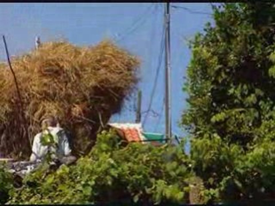 A Debulha do Trigo