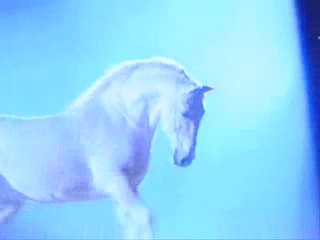 СВОБОДА.../freedom