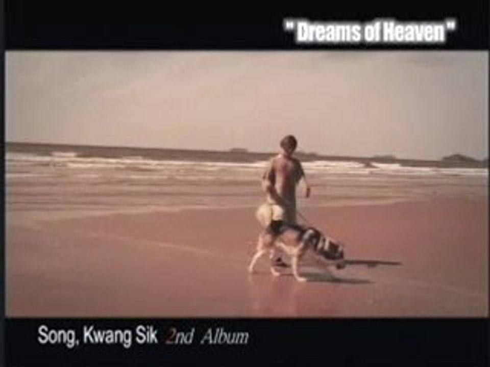 Dreams of Heaven