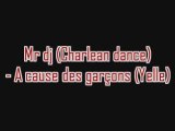 Mr dj (Charlean Dance) - A cause des garçons (Yelle)