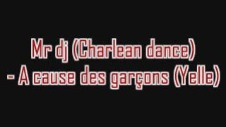 Mr dj (Charlean Dance) - A cause des garçons (Yelle)