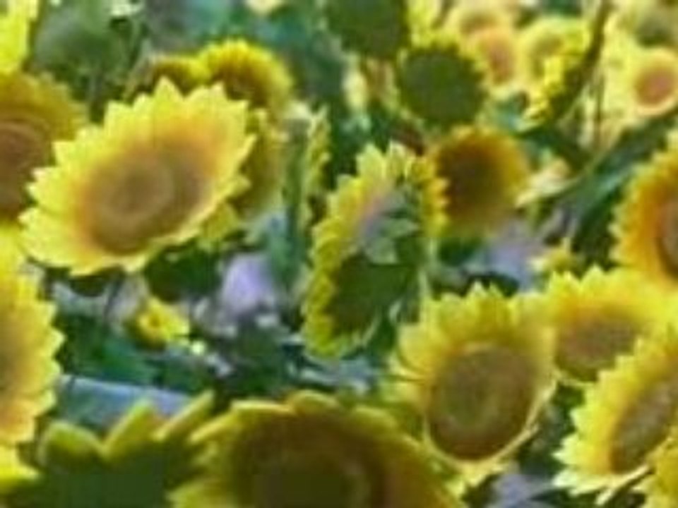 Nenjukkul Vaaranam Aayiram