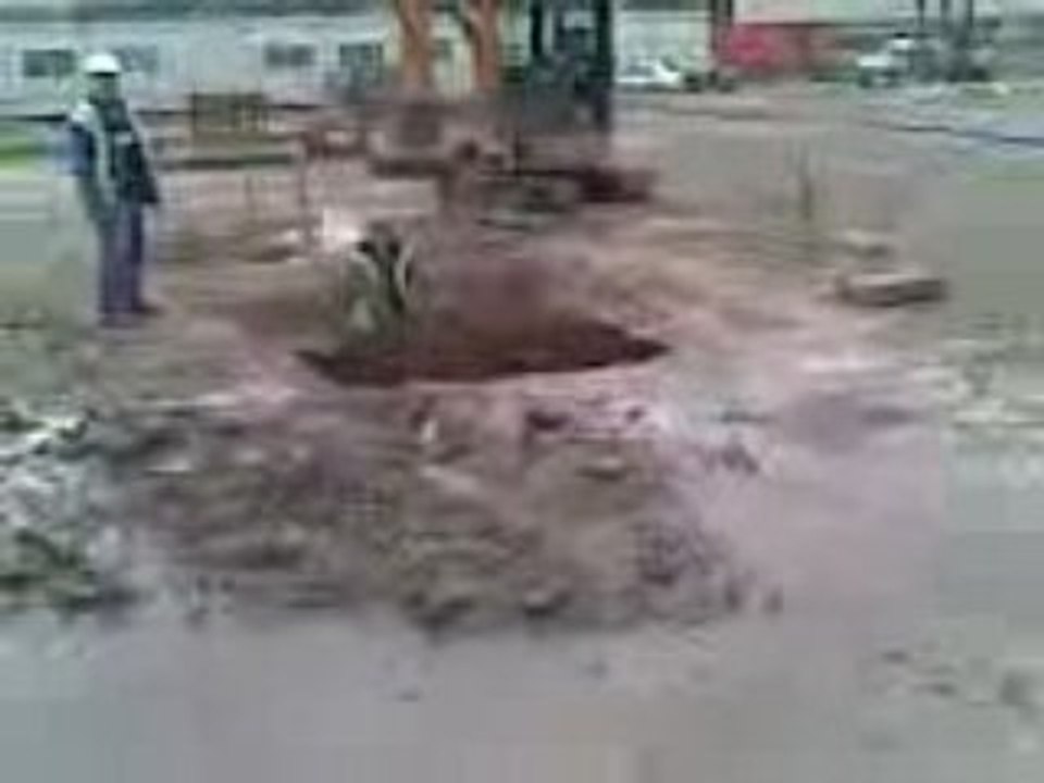 saute saute mon petit lapin