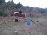 Moi et Hugo. Obstacle à cru avec un cheval de trait.