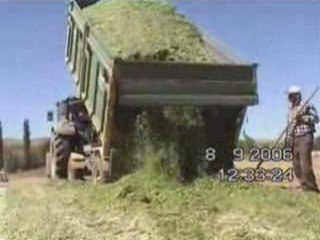 ASAGI YILDIZLI CIFTLIGI - JOHN DEERE 6420 SILAJ BOŞALTIYOR