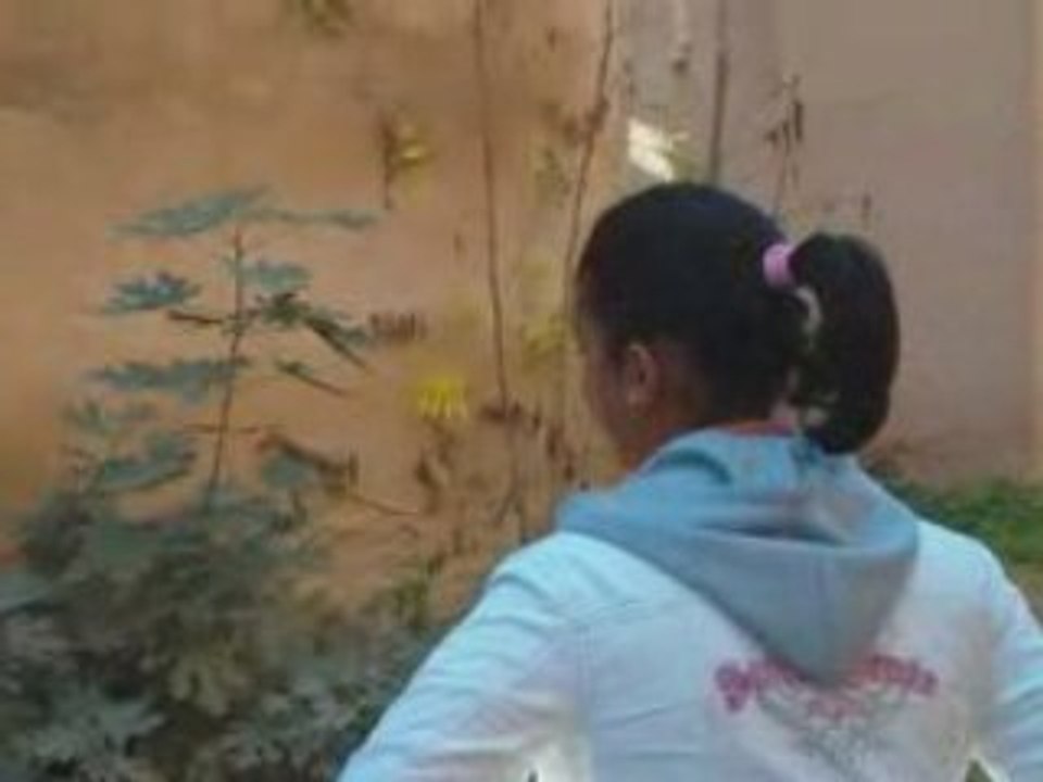 Visite a Meknès