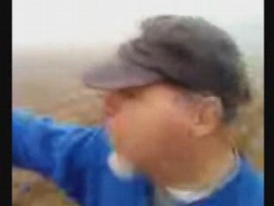 Themisttom