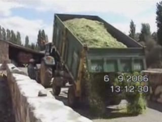 ASAGI YILDIZLI CIFTLIGI - MISIR BICIM IŞLEMI