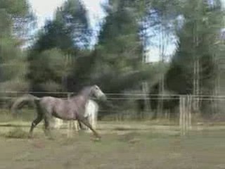 Amal akim video le bonheur est dans le pres !!!