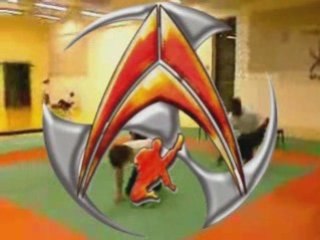 Sampler 2008 Trainning Team Advance