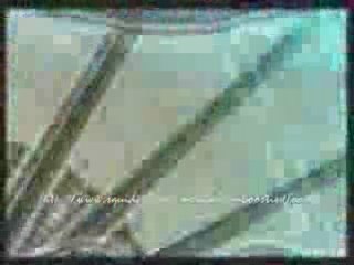 foods that speed up metabolism