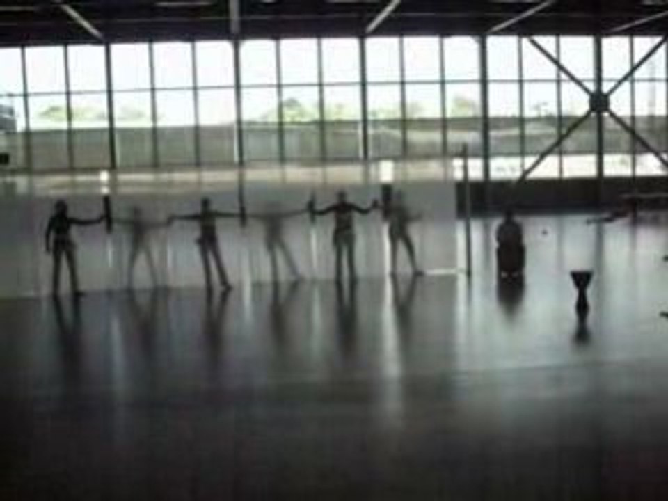 danse bac 2008-2009