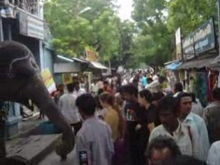 L'éléphant de Pondi