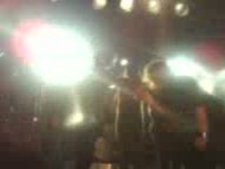 The Elderberries live 22/11/08