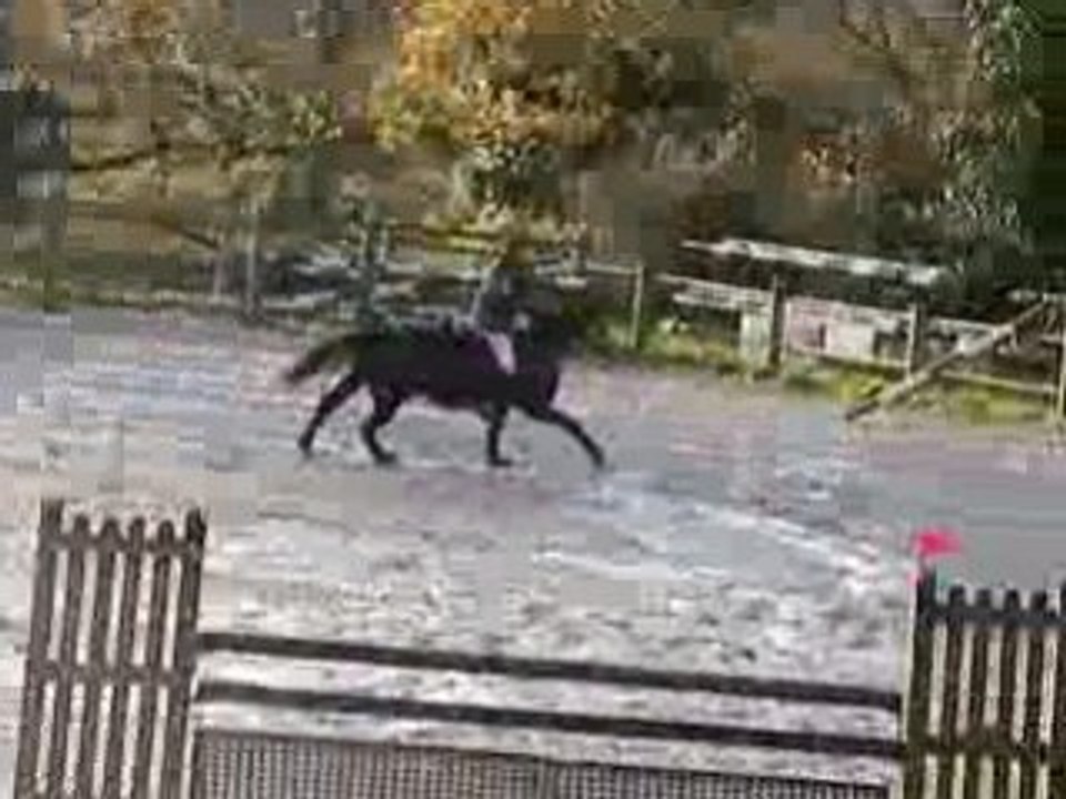 Nepheline du Reuil D1P gavray 23/11/08