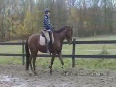 Exos assouplissement