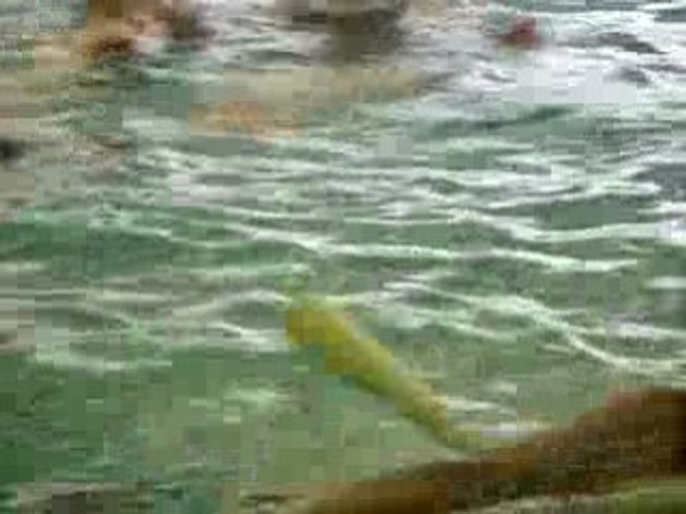 aquagym de retour