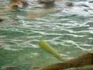 aquagym de retour