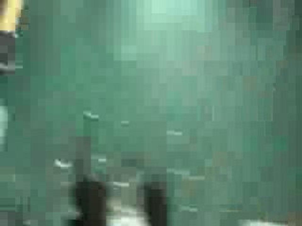 concert SIMPLE PLAN, le 23 novembre 2008 au zenith de paris