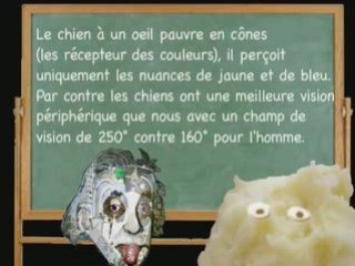 KESTENSAIS PATATE ! Les chiens ne voient pas les couleurs...