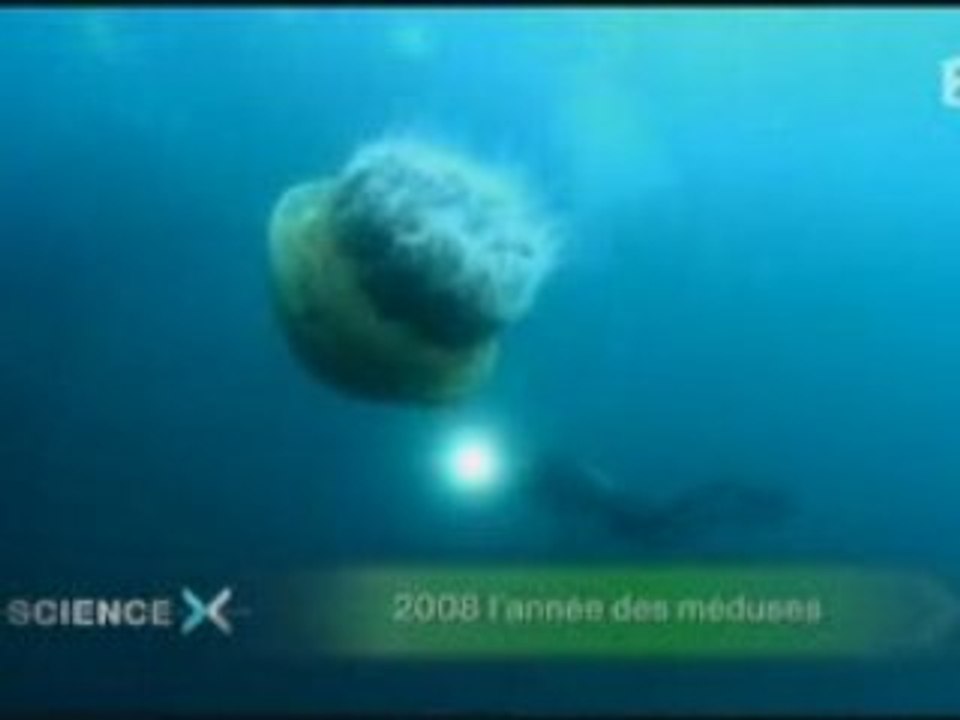 Les meduses -Science X-  [les Bogdanov]