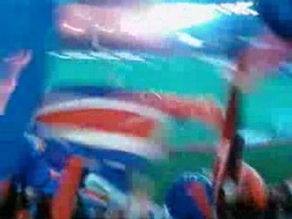 Hommage PAULETA lors de psg ol + tribune auteuil en feu