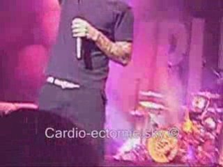 When i'm gone - Simple Plan Lille