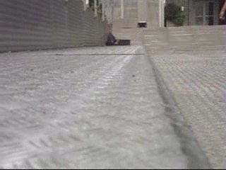 norton dirtbag team talensac