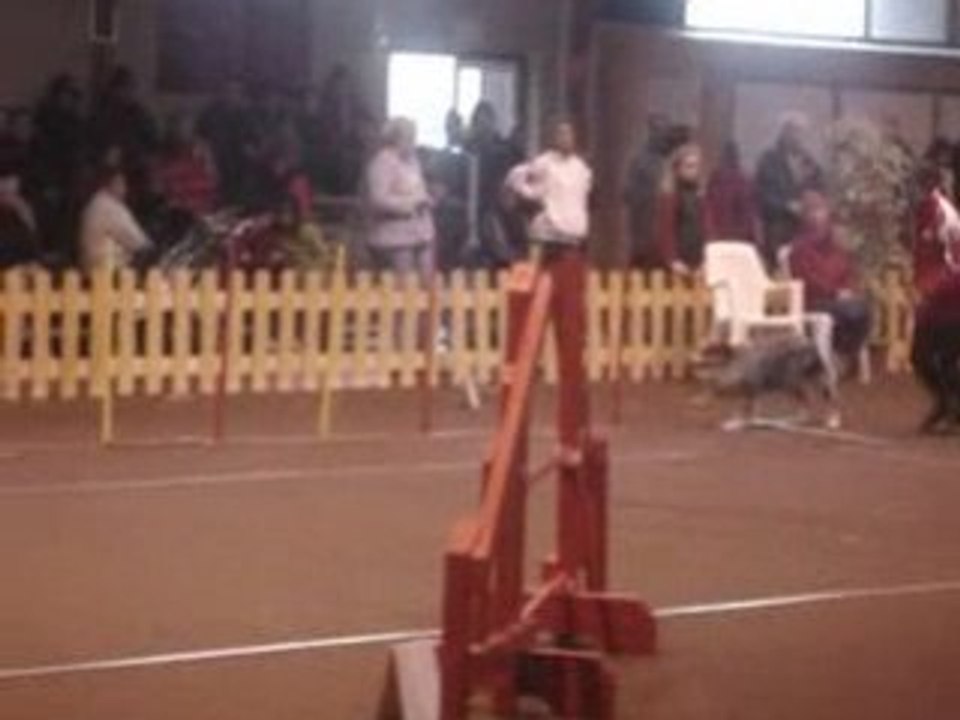 Aussia gpf