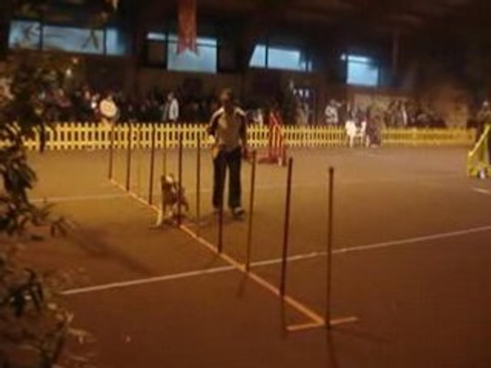 Jump chamane