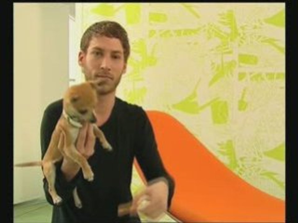 Ora Ïto - France 2 - Emission sur le Design