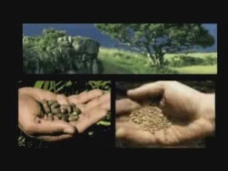 Zeitgeist Exposed and Refuted