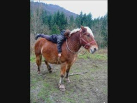 Délires sur Hugo+apprentissage révérence à Tiramisu