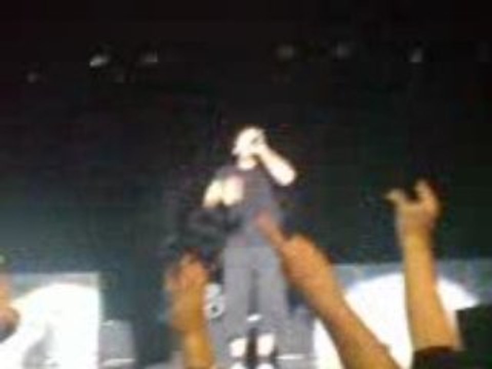 Concert Simple Plan au Zénith - I'd do anything