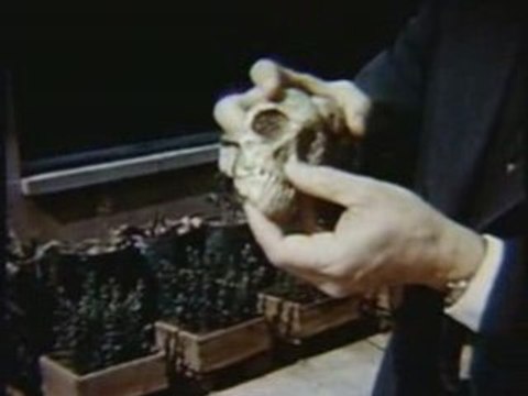 Le Roman de l'Homme (5/15)