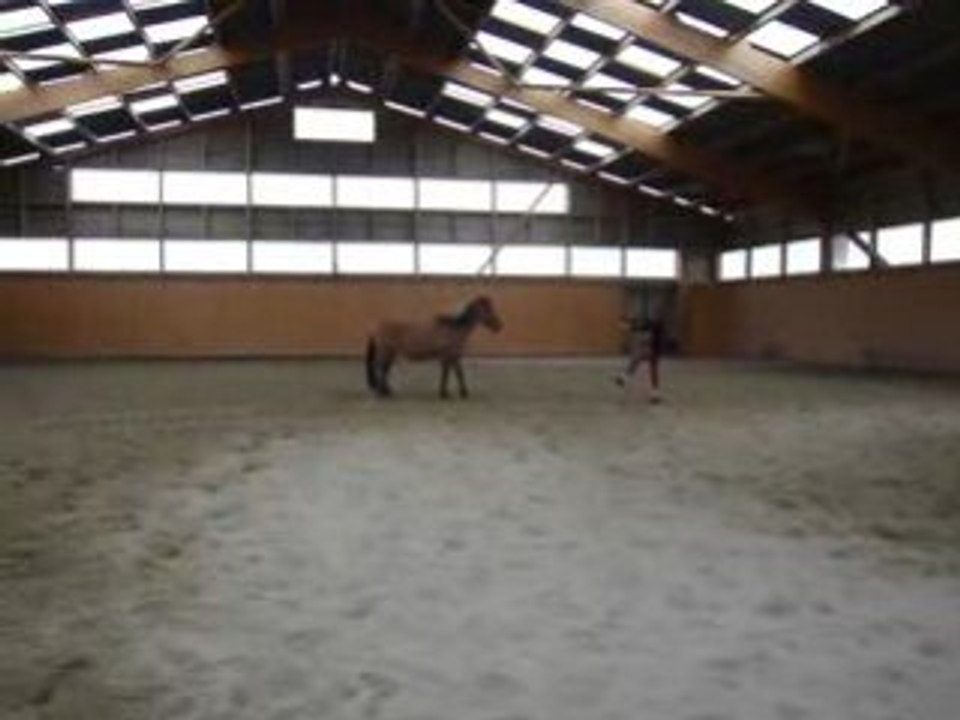 yoyo en lib