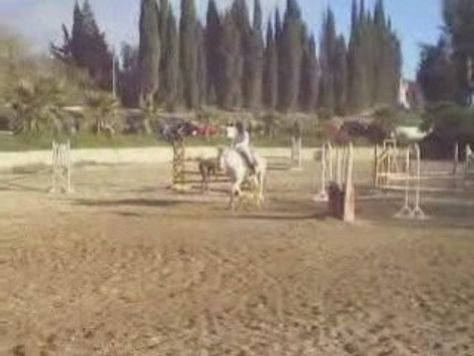 concours du 23 novembre