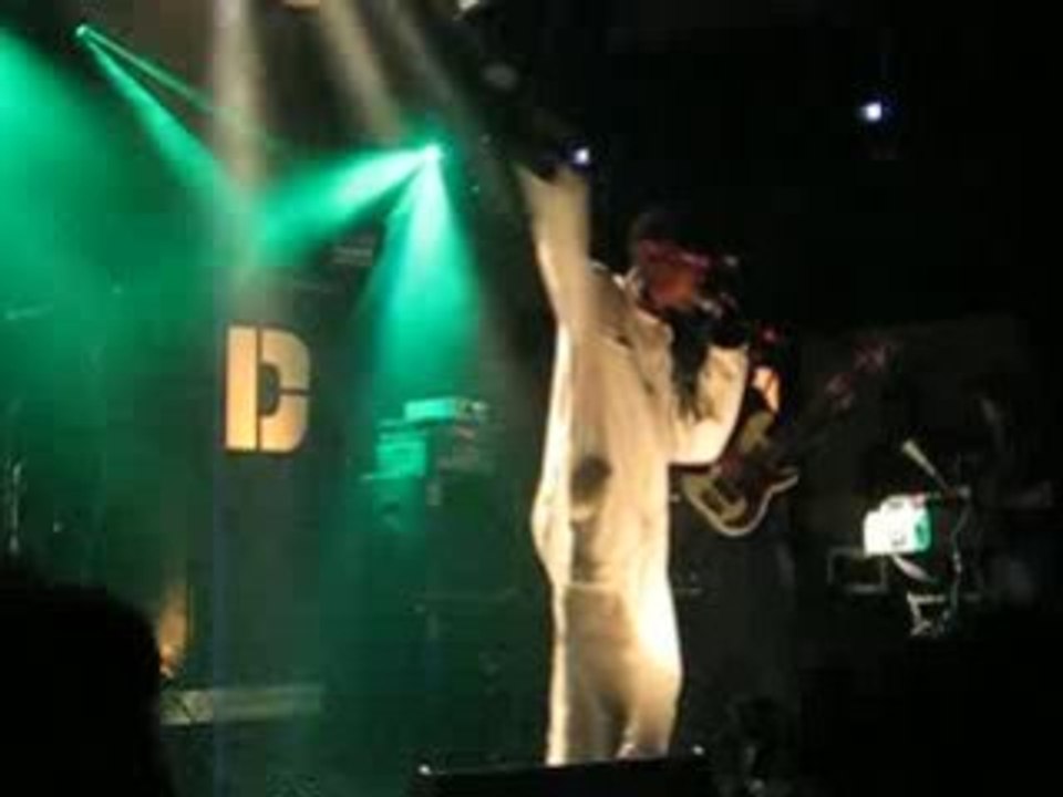 latitudez fleuri goutte d'or