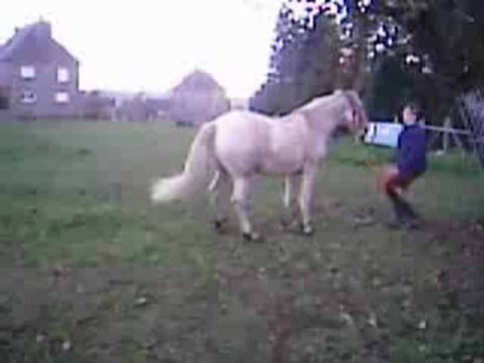 Loustal cabre devant moi (prise ne mieu)