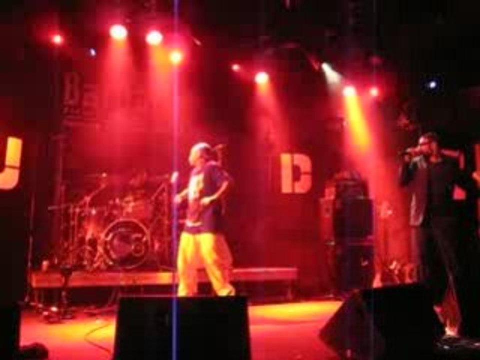 latitudez fleuri goutte d'or