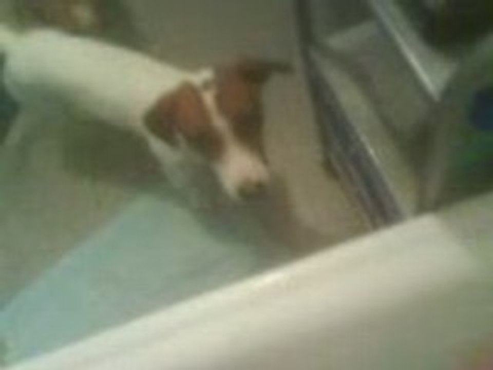 Chiki a la douche