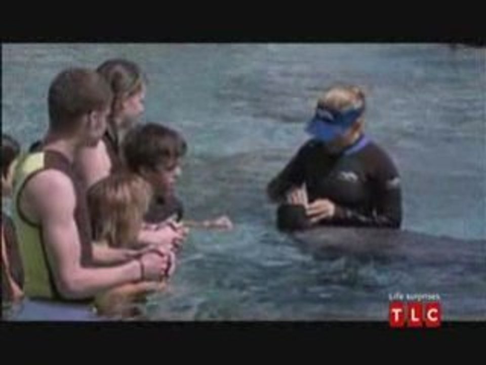 Little People, Big World - Swimming with Dolphins