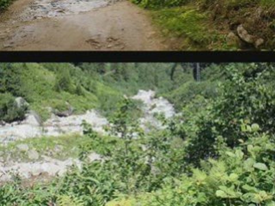 rize-ayder-Aşağı kavrun-tulum-mahmut turan-kavrun.tr.gg