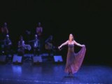 Spectacle Flamenco - 