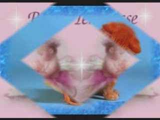 La tendresse la tendresse
