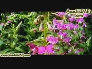 Mostafa Amar Sobhan Allah Dernier Album eoclip islamique]