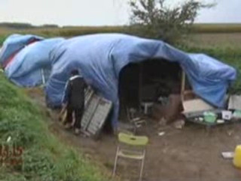 La jungle du nord