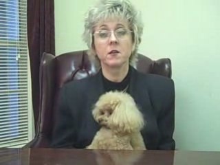 Amanda Devine Discusses Ray Higdon