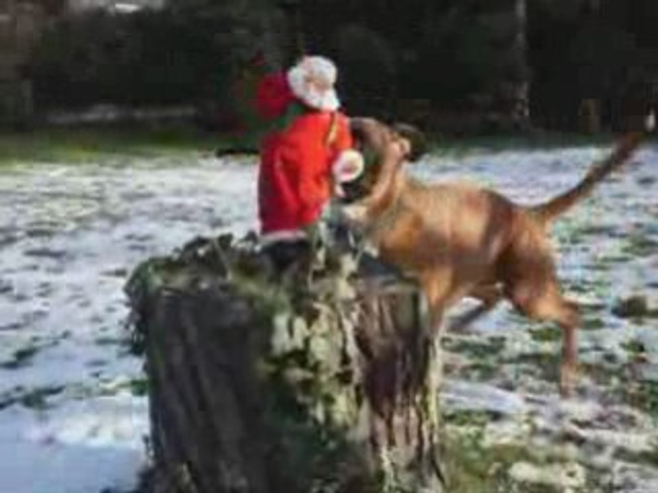 Weihnachtsmann mit Hund