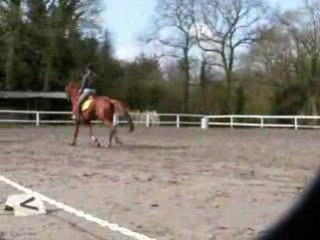Sceance saut kerau (8)
